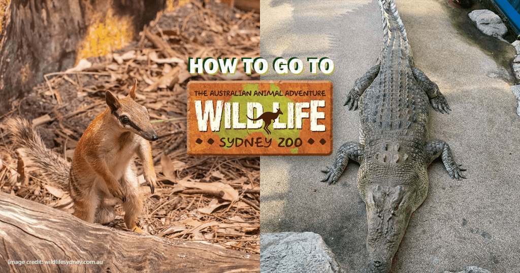 How to Go to WILD LIFE Sydney Zoo Australia