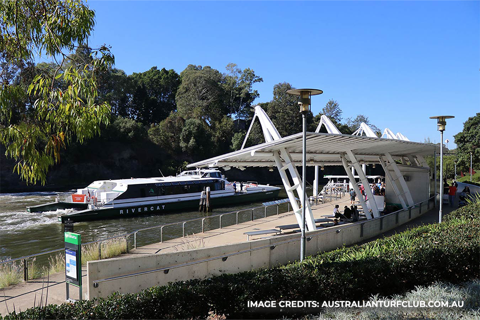 train from Strathfield to Parramatta Station on the T1 Line | going to Rosehill Gardens Racecourse | NSW, Australia | APX Parramatta
