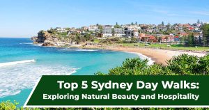 Top 5 Sydney Day Walks | Sydney, NSW, Australia | APX Hotels Apartments