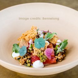 Salad | Bennelong Sydney Australia | near | near APX World Square | near APX Darling Harbour