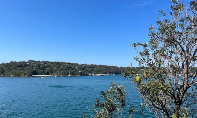 Cremorne Reserve view