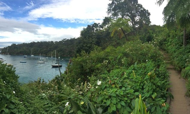 bradleys-head-chowder-bay-walk-06