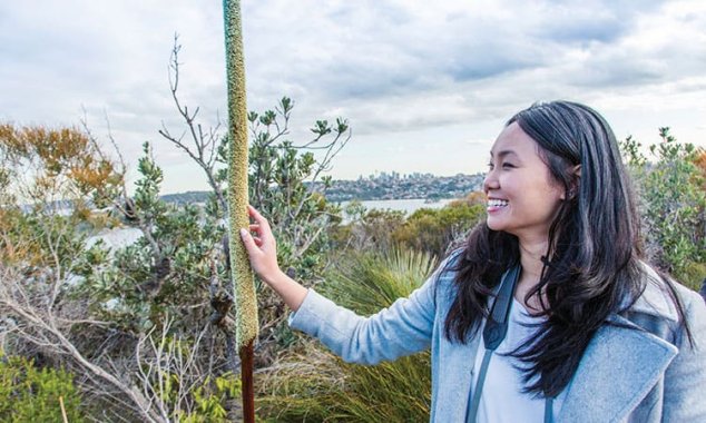 manly-scenic-walkway-06