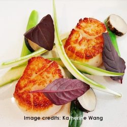 scallops picture by Catherine Wang | Tetsuyas Sydney Australia | near APX Darling Harbour | near APX World Square