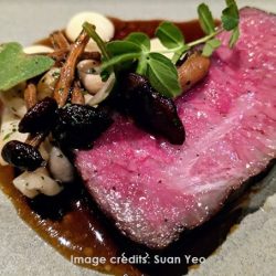 Wagyu beef picrture by Suan Yeo | Tetsuya's Sydney Australia | near APX Darling Harbour | near APX World Square